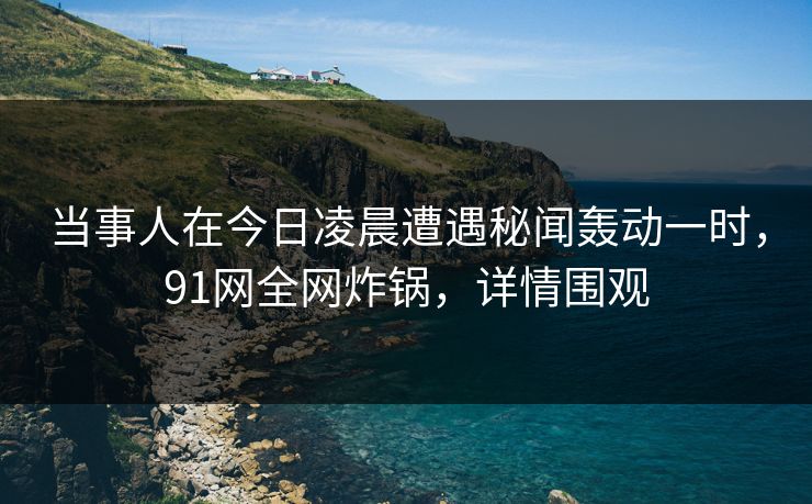 当事人在今日凌晨遭遇秘闻轰动一时，91网全网炸锅，详情围观